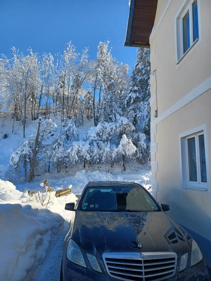 Ferienwohnung Gaensebluemchen Feistritz an der Gail Екстериор снимка